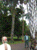 PAMPLE-104.JPG