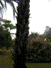 PAMPLE-106.JPG