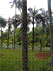 PAMPLE-107.JPG