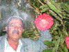 PAMPLE-109.JPG