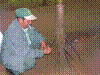 PAMPLE-110.JPG