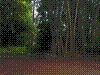 PAMPLE-111.JPG