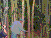 PAMPLE-113.JPG