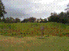 PAMPLE-118.JPG