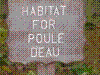 PAMPLE-119.JPG