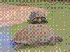 PAMPLE-122.JPG