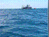 SMARIN-09.JPG