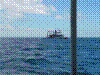 SMARIN-10.JPG
