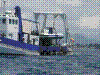 SMARIN-11.JPG
