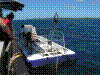 SMARIN-17.JPG