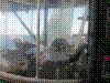 SMARIN-18.JPG