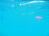 SMARIN-27.JPG