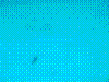 SMARIN-38.JPG