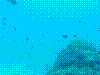 SMARIN-43.JPG