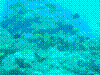 SMARIN-45.JPG