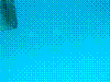 SMARIN-50.JPG
