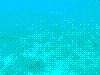SMARIN-73.JPG