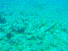 SMARIN-77.JPG