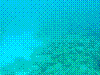 SMARIN-80.JPG
