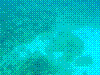 SMARIN-82.JPG
