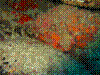 IMAGE0003.JPG