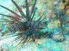 IMAGE0012.JPG
