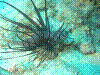 IMAGE0013.JPG