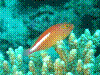 IMAGE0014.JPG