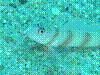 IMAGE0015.JPG