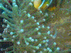 IMAGE0017.JPG