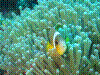 IMAGE0018.JPG