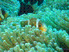 IMAGE0019.JPG