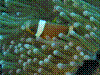 IMAGE0020.JPG
