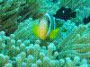 IMAGE0021.JPG