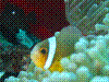 IMAGE0024.JPG