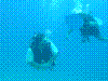 IMAGE0025.JPG