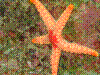 IMAGE0031.JPG