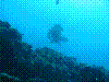 IMAGE0034.JPG