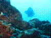 IMAGE0035.JPG