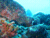 IMAGE0036.JPG