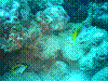 IMAGE0037.JPG
