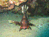 IMAGE0040.JPG