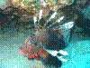 IMAGE0041.JPG