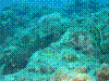 IMAGE0043.JPG