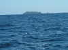 IMAGE0006.JPG