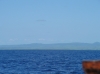 IMAGE0007.JPG