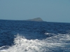 IMAGE0008.JPG