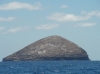 IMAGE0015.JPG