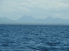 IMAGE0041.JPG