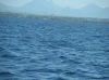IMAGE0042.JPG